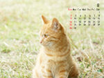 1�����\�� �f�U�C��1 �ʐ^�FHirotig/����