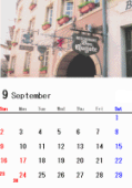 1�����J�����_�[�^�e