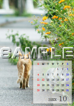 �C���[�W