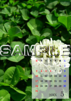C[W