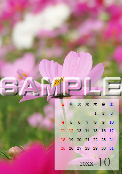 �C���[�W