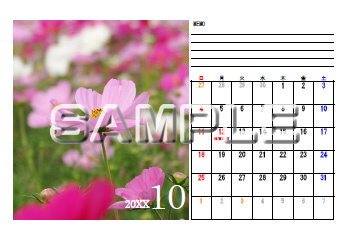�C���[�W
